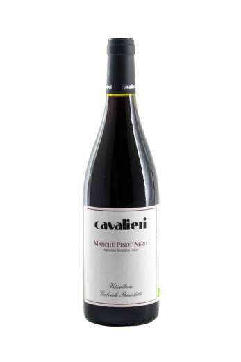 Marche Pinot Nero