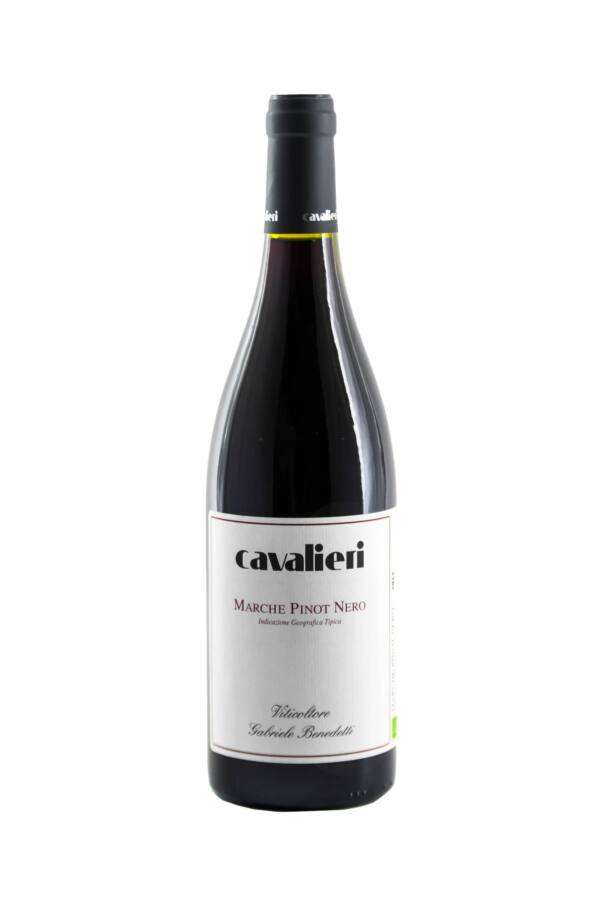 DSC_8967-Cavalieri-White-Marche-Pinot-Noir