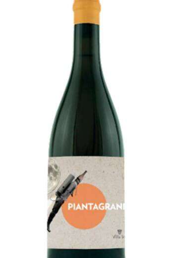 Pinot Grigio Piantagrane