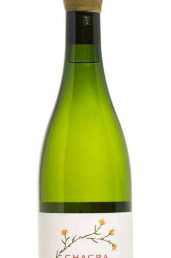 Chacra Chardonnay 2019