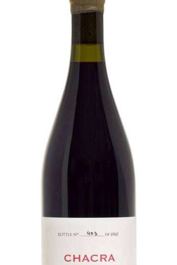 Pinot Noir Treinta y Dos 32 2020