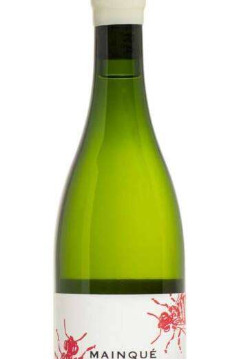 Chardonnay Mainqué 2023