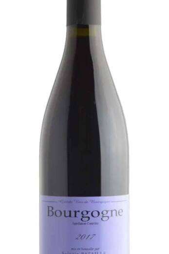 Bourgogne Rouge Sylvain Pataille 2022