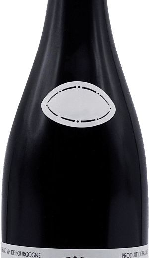 Gevrey-Chambertin Sylvie Esmonin 2022