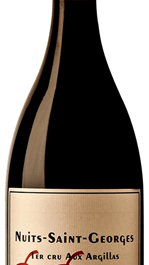 Nuits-Saint-Georges 1er Cru Aux Argillas 2021
