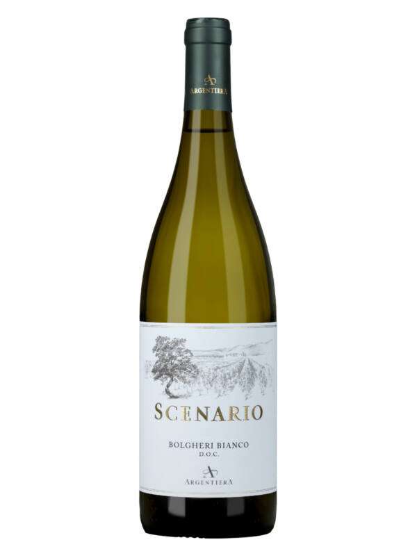 DSC_9233-Tenuta-Argentiera-Scenario