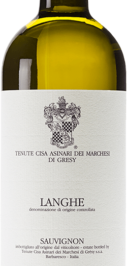 Sauvignon Blanc Langhe