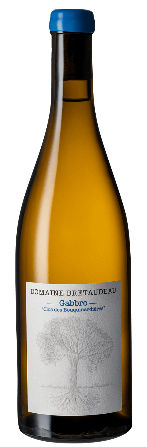 DSC_9164-Jerome-Bretaudeau-Muscadet-Gabbro