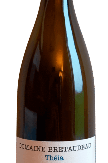 Muscadet Theia 2024