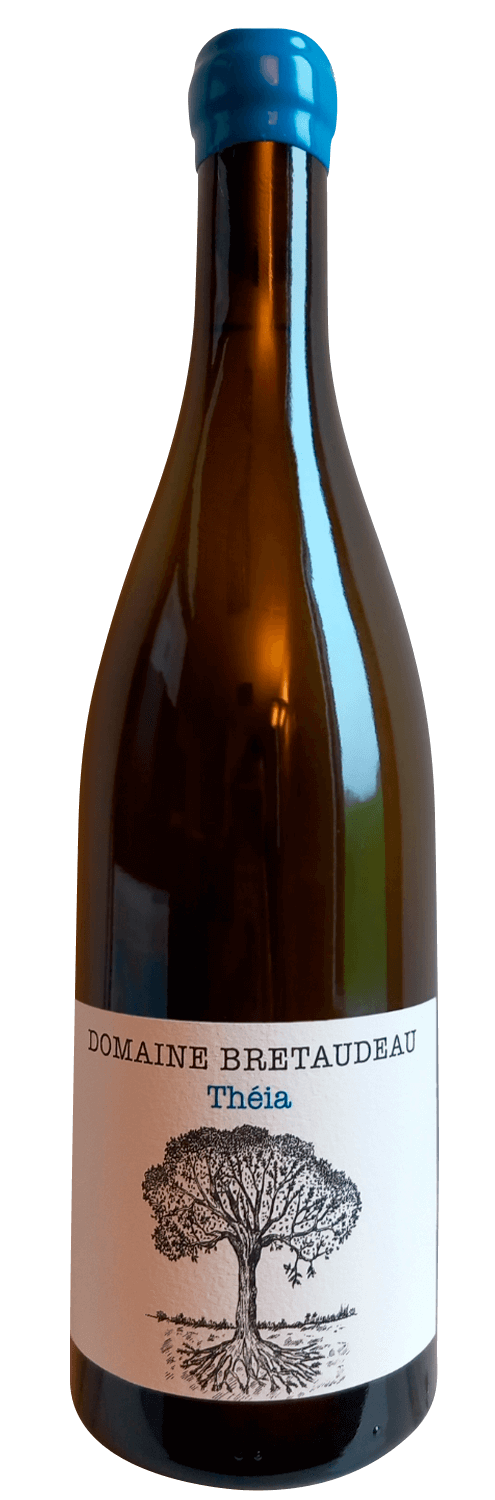 DSC_9165-Jerome-Bretaudeau-Muscadet-Theia